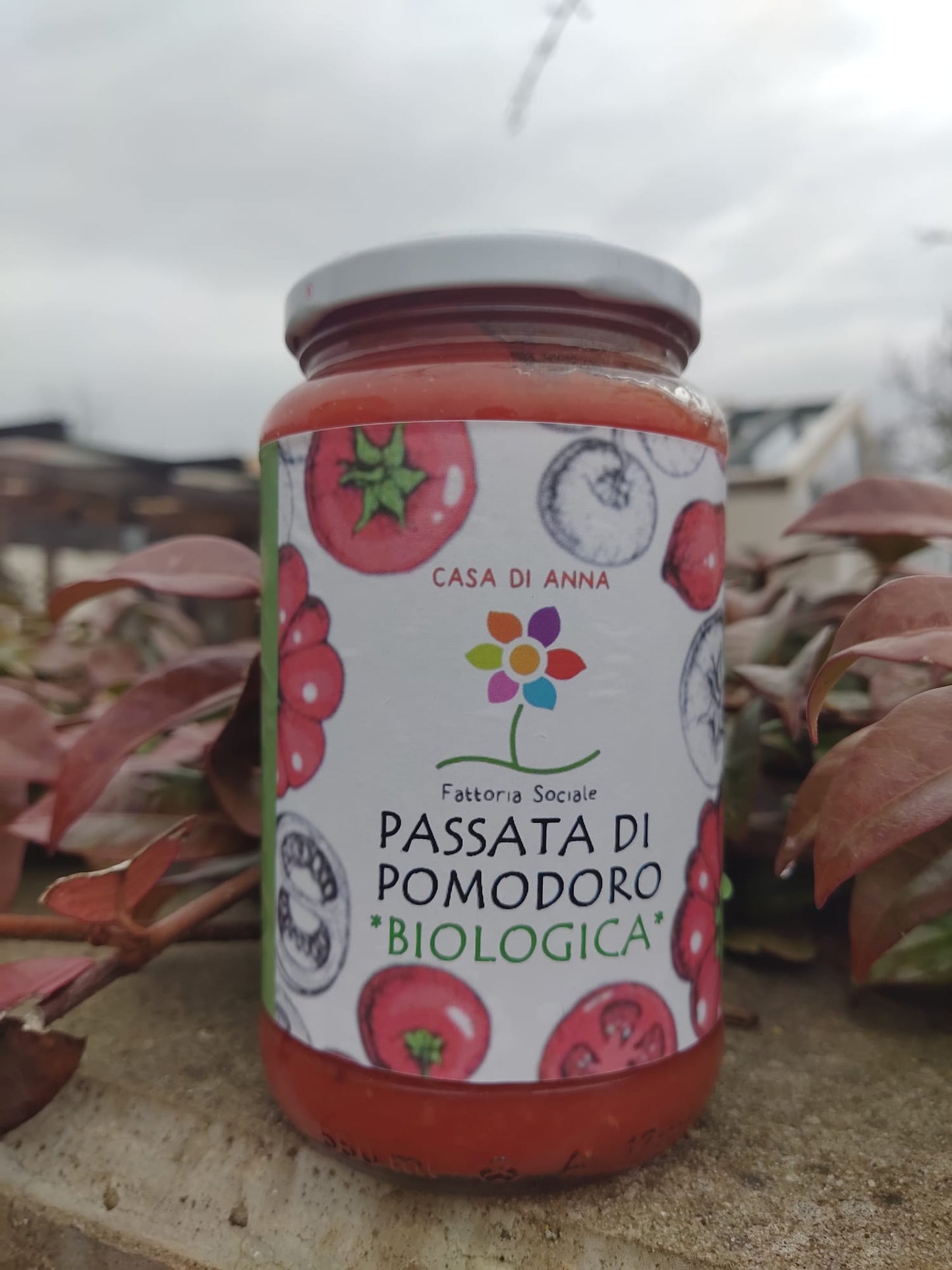 Passata di Pomodoro Biologica 550g