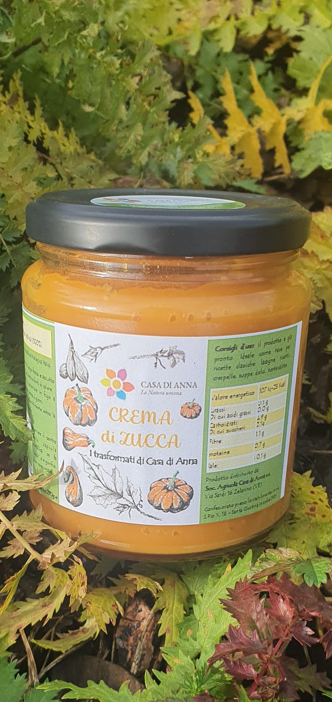 Crema di Zucca 290g