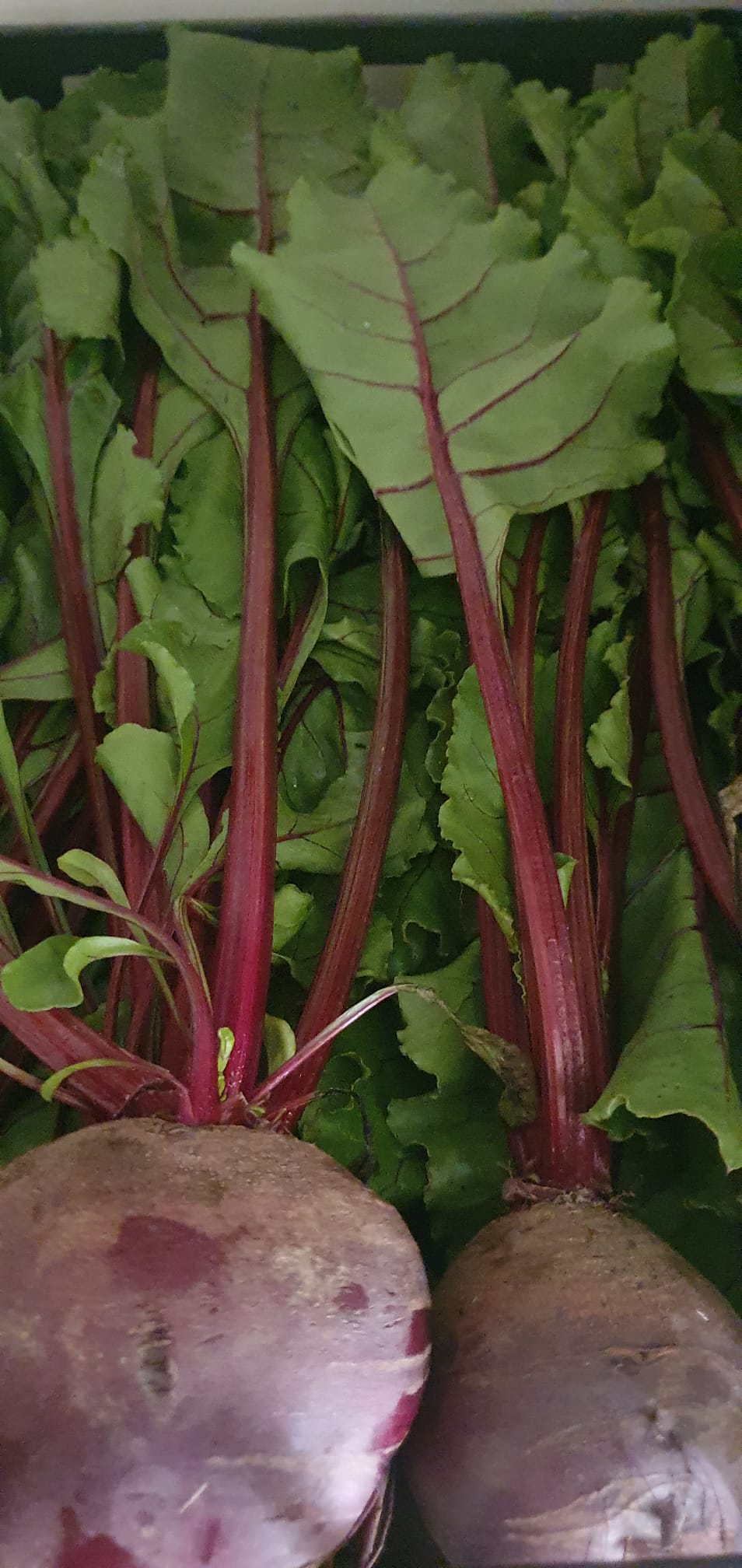 Rape Rosse in Foglia (€ 5,90/kg) 2-3 pezzi 500g