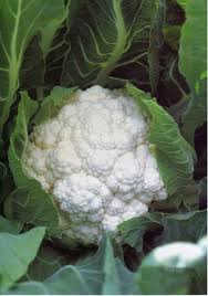 Cavolfiore Bianco (€ 4,50/kg) 800g
