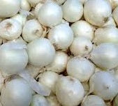 Cipolle bianche (€ 3,60/kg) 500g