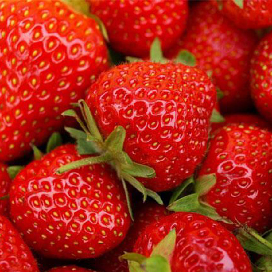 Fragole (€ 5,50/vaschetta) 250g