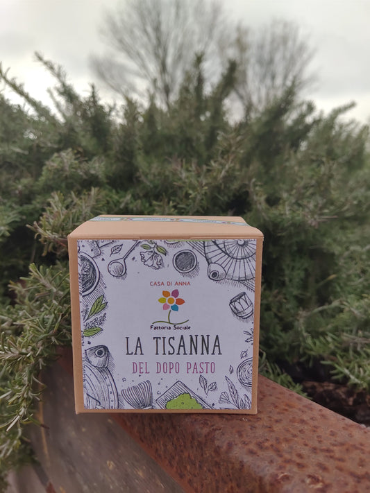 La Tisanna del Dopo Pasto in Bustine 10g