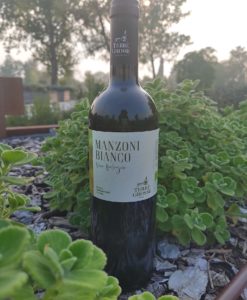 Manzoni IGT Bianco Fermo 75cl