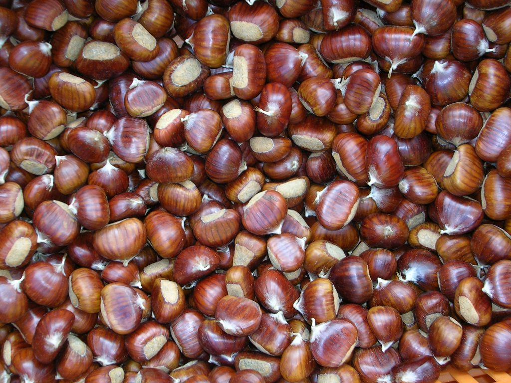 Marroni (€ 15,00/kg) 500g