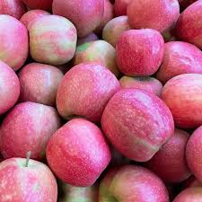 Mela Fuji (€ 4,50/kg) 1Kg