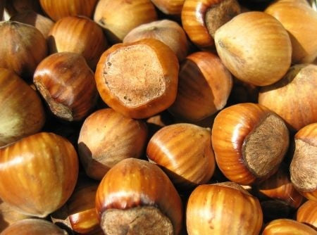 Nocciole Naturali con Guscio (€ 18,00/kg) 200g