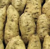 Batata bianca (patate americane) (€ 4,90/kg) 500g