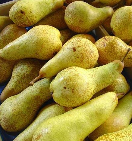 Pera Abate ( € 4,90/kg) 1KG
