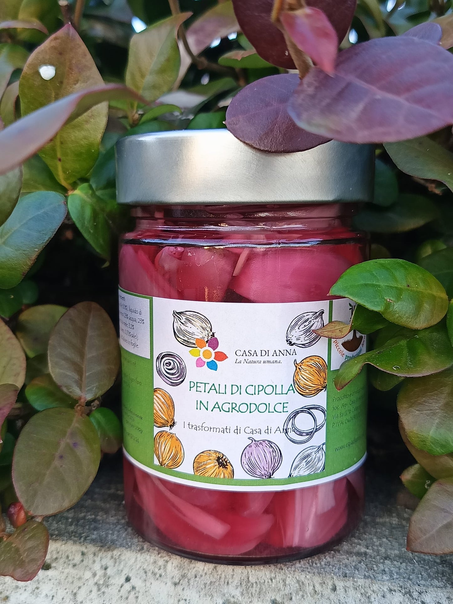 Petali di cipolla in Agrodolce