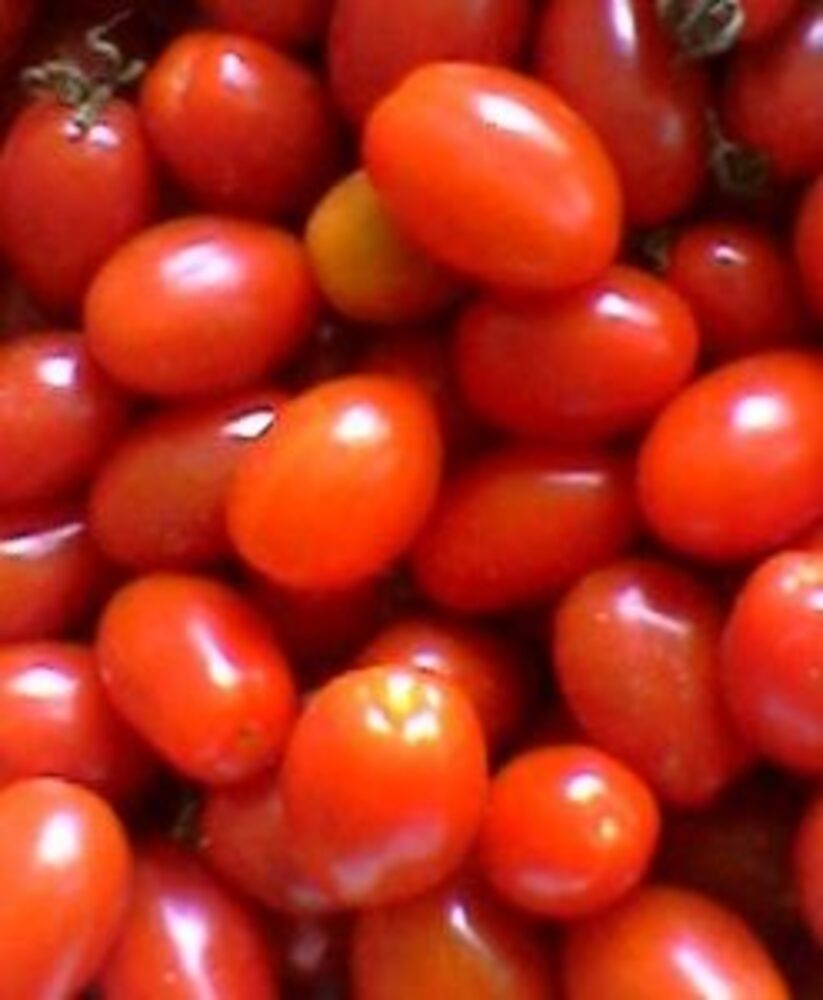 Pomodoro Datterino (500g) - 7,90 €/KG