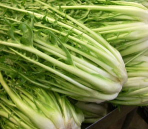 Cicoria Puntarelle (€ 4,90/kg) 500g