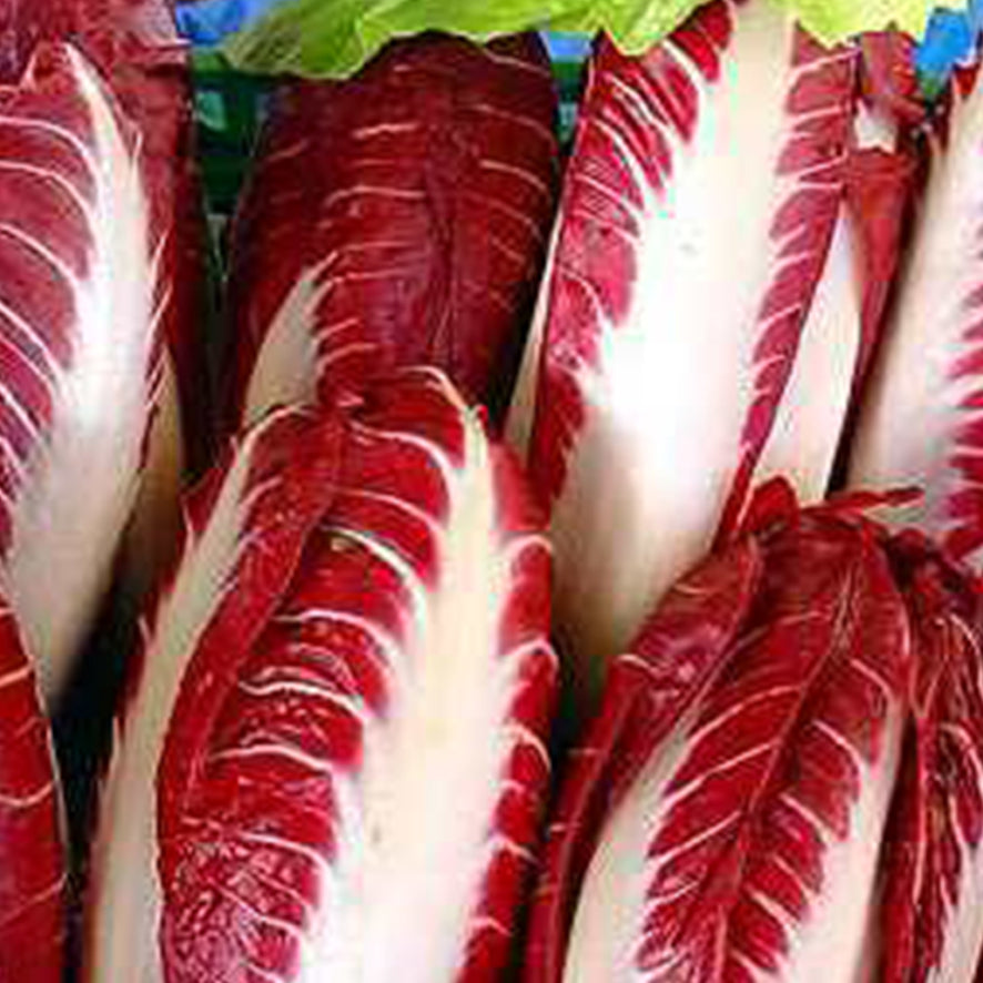 Radicchio Lungo Rosso (€ 4,20/kg) 500g