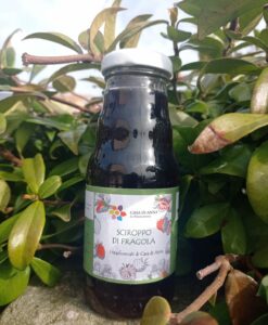 Sciroppo di Fragole 250ml