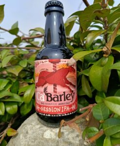 Session IPA Birra Agricola BIO 33cl