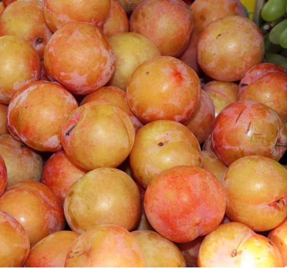 Susine Gialle o Nere 500g KG: 5,90€