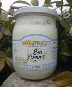 Yogurt Intero BIO