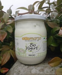 Yogurt Magro BIO