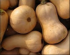 Zucca Butternut (€ 3,00/kg) 1KG
