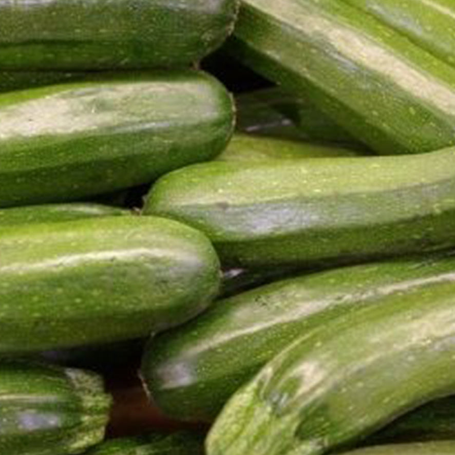 Zucchine Pezzatura Grande (€ 1,10/kg) 2-3 pezzi 1Kg