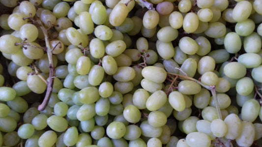 Uva Bianca Apirene Senza Semi  500g (Prezzo al KG: 5,90€)