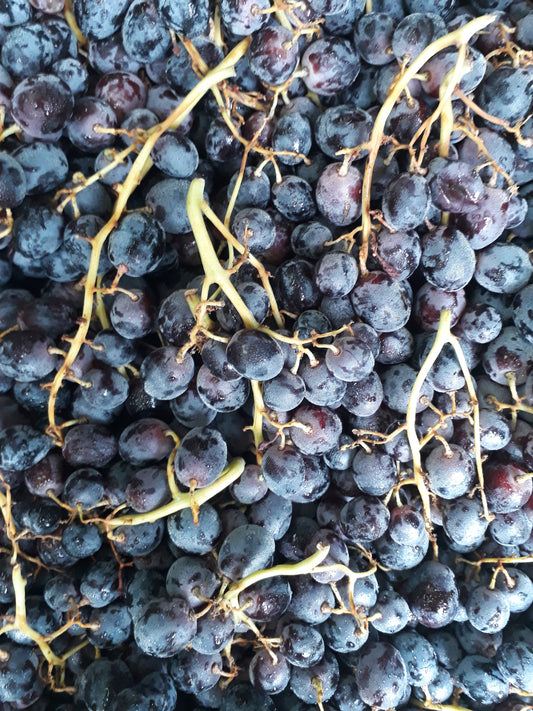 Uva rossa Apirene 500g (Senza semi ) (5,90 €/kg)