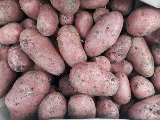 Patate Rosse Novelle (€ 3,00/kg) 1Kg