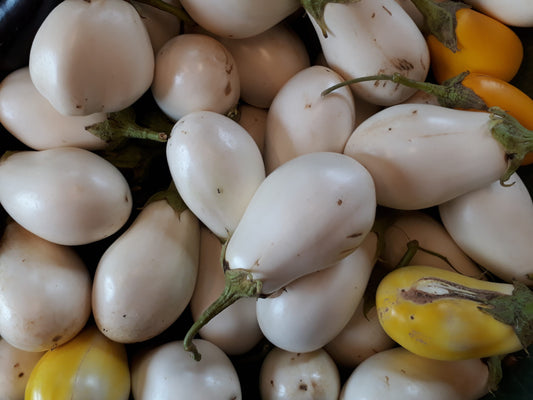 Melanzane Bianca (€ 5,50/kg) 2-3 pezzi 500g