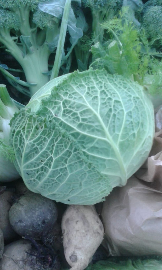 Verza Bianca (€ 3,50/kg) 800g