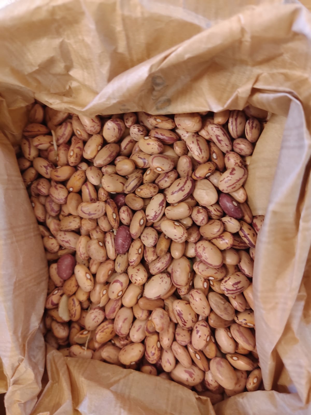 Fagioli Borlotti secchi BIO Sfusi 200g (12 euro al kg)