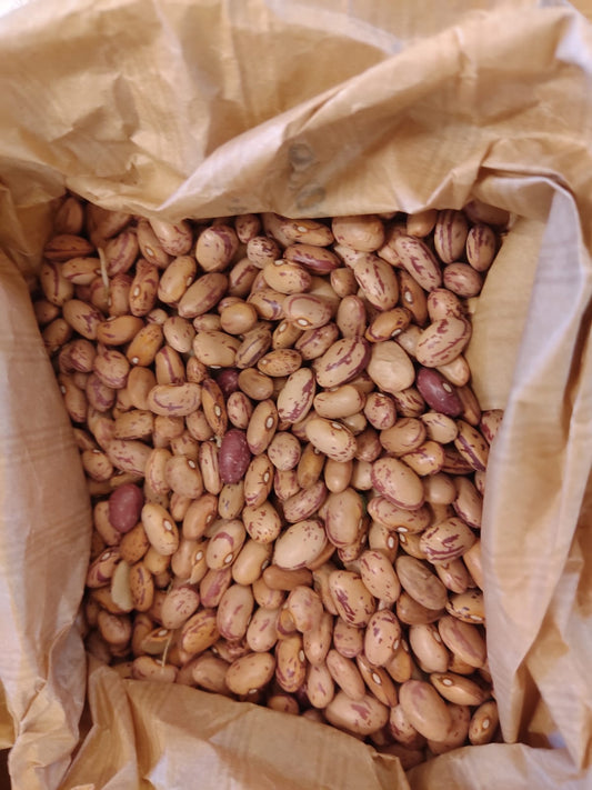 Fagioli Borlotti secchi BIO Sfusi 200g (12 euro al kg)