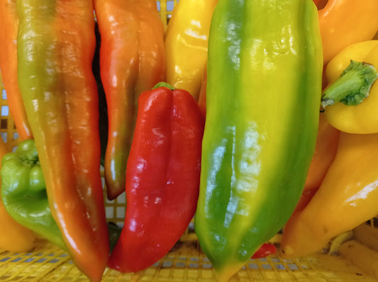 Peperoni a Corno Dolci Colorati (€ 5,90/kg) 2-3 pezzi 500g