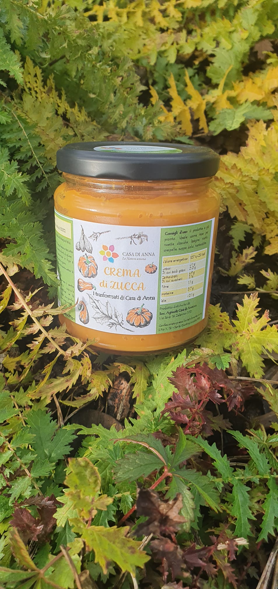 Crema di Zucca 290g