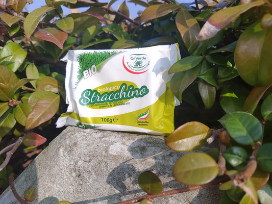 Stracchino BIO (€ 2,00/pz) 100g