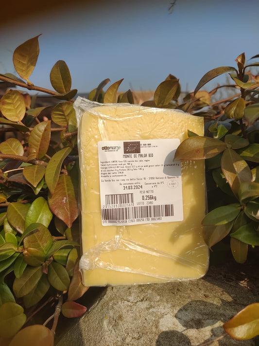 Monte di Malga BIO 250g