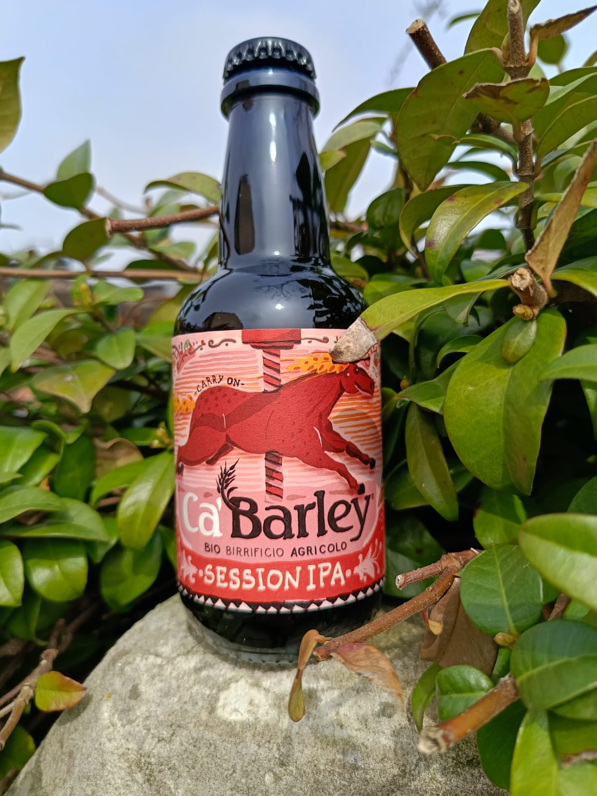 Session IPA Birra Agricola BIO (€ 4,50) 33l