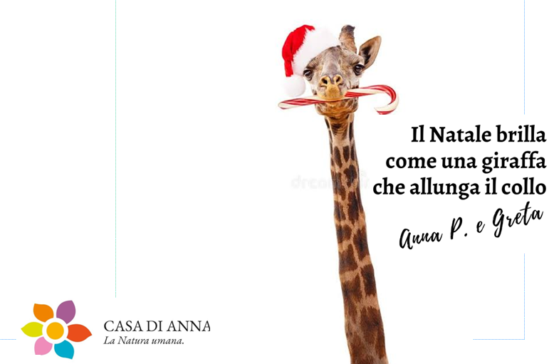 CASSETTA PIWI - GRANDE - (catalogo di natale)  € 54,00