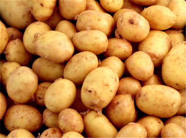 Patate Gialle Novelle (€ 3,00/kg) 1Kg