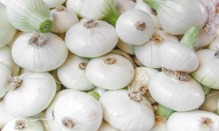 Cipolla Bianca Piatta  500g  al KG: 5,90€