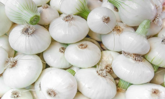 Cipolla Bianca Piatta  500g  al KG: 5,90€