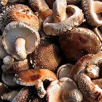 Funghi Shitake (€ 20,00/kg) 350g