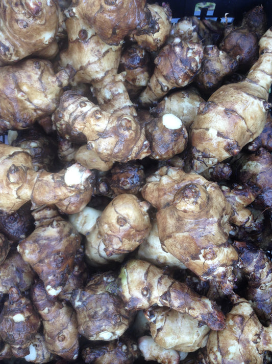 Topinambur (€ 4,50/kg) 500g