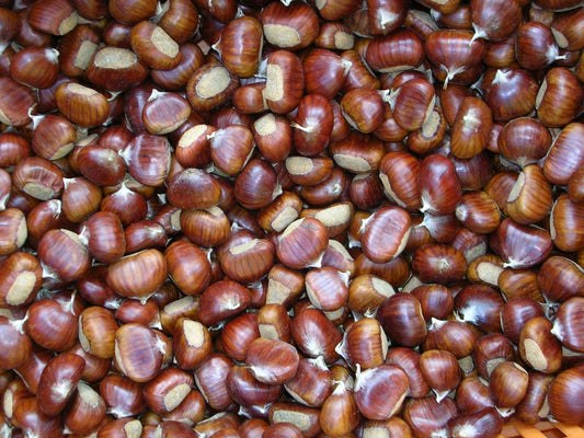 Marroni (€ 15,00/kg) 500g