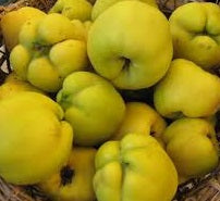Mele Cotogne (€ 4,50/kg) 1Kg