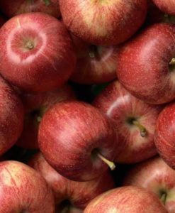 Mele GALA (€ 3,90/kg) 1Kg