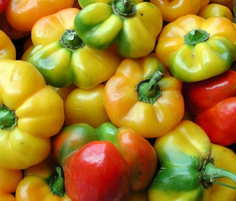 Peperoni Rossi e Gialli 500 g  Prezzo al KG: 5,90€