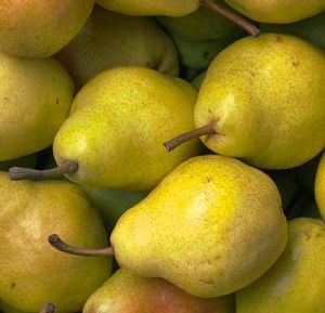 Pera Williams (€ 4,90/kg) 1KG