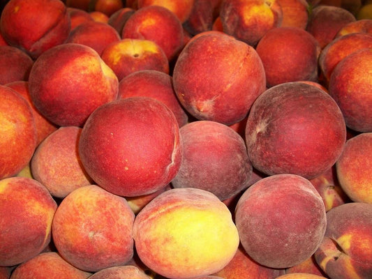 Pesche Pasta Gialla (€ 5,90/KG) 3-4 pezzi 500g