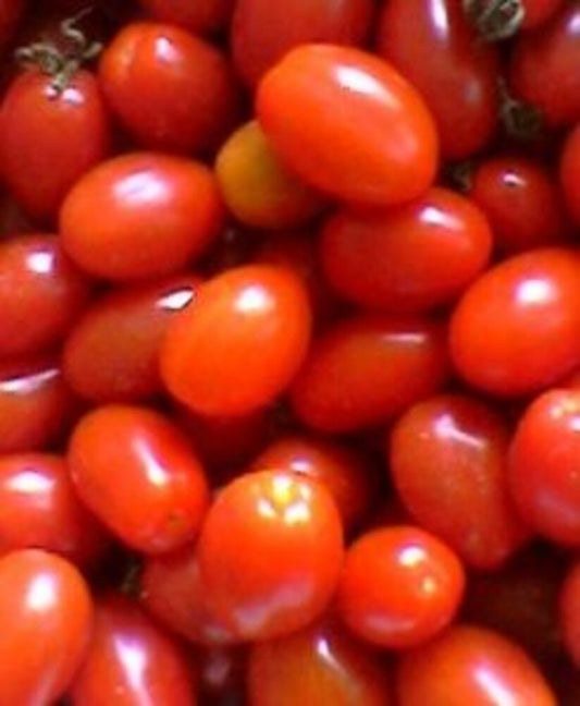 Pomodoro Datterino (500g) - 7,90 €/KG