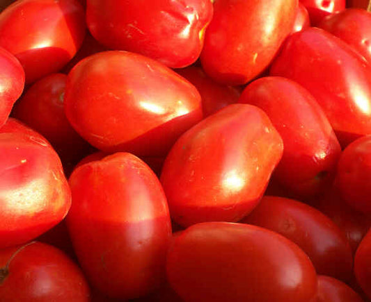 Pomodoro da Sugo (€ 1,60/KG) OFFERTA 30Kg